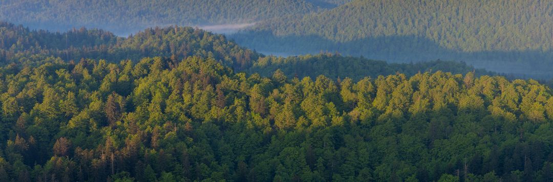 Gorska Hrvatska